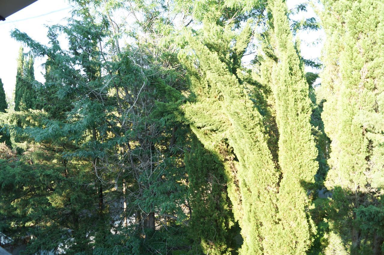 Pitsunda Hotel Kültér fotó